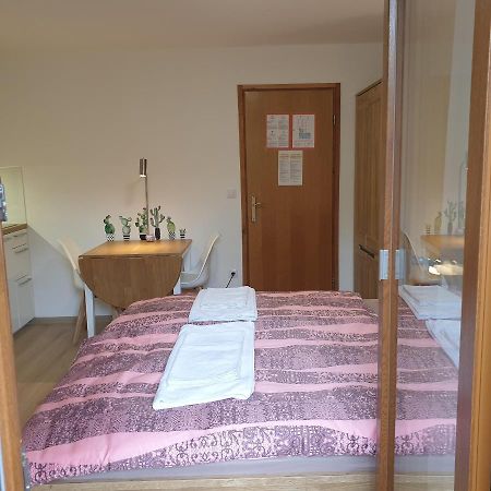 Apartmaji Pri Medvedu Studio Rudnica Bohinji-tó Kültér fotó