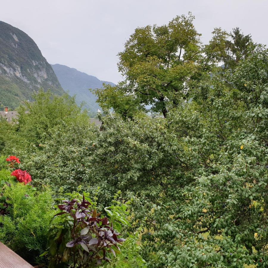 Apartmaji Pri Medvedu Studio Rudnica Bohinji-tó Kültér fotó